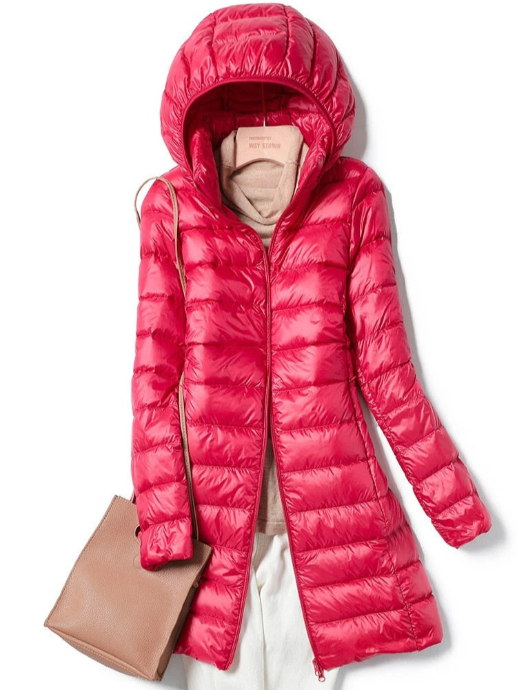 Leichte Winterjacke für Damen mit modernem Schnitt